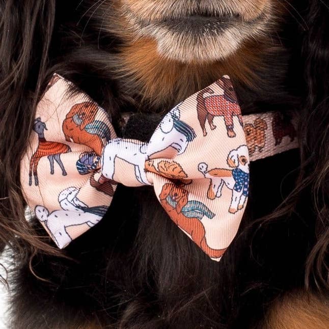 Vinterhundar: Fluga för wholesale av Pablo & Co. Boutique