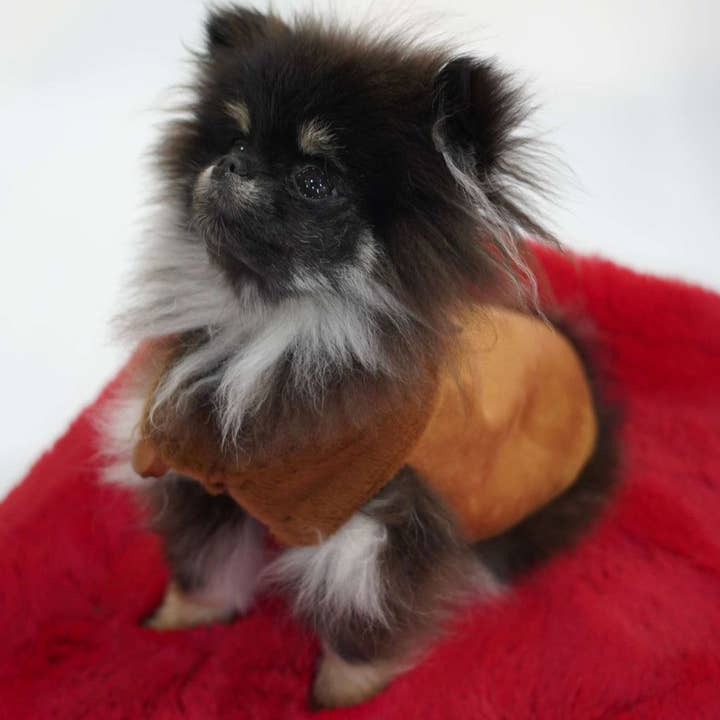 Le Tapis Rouge Paris - Wholesale Crossbody Bag - Women's - The Ted2