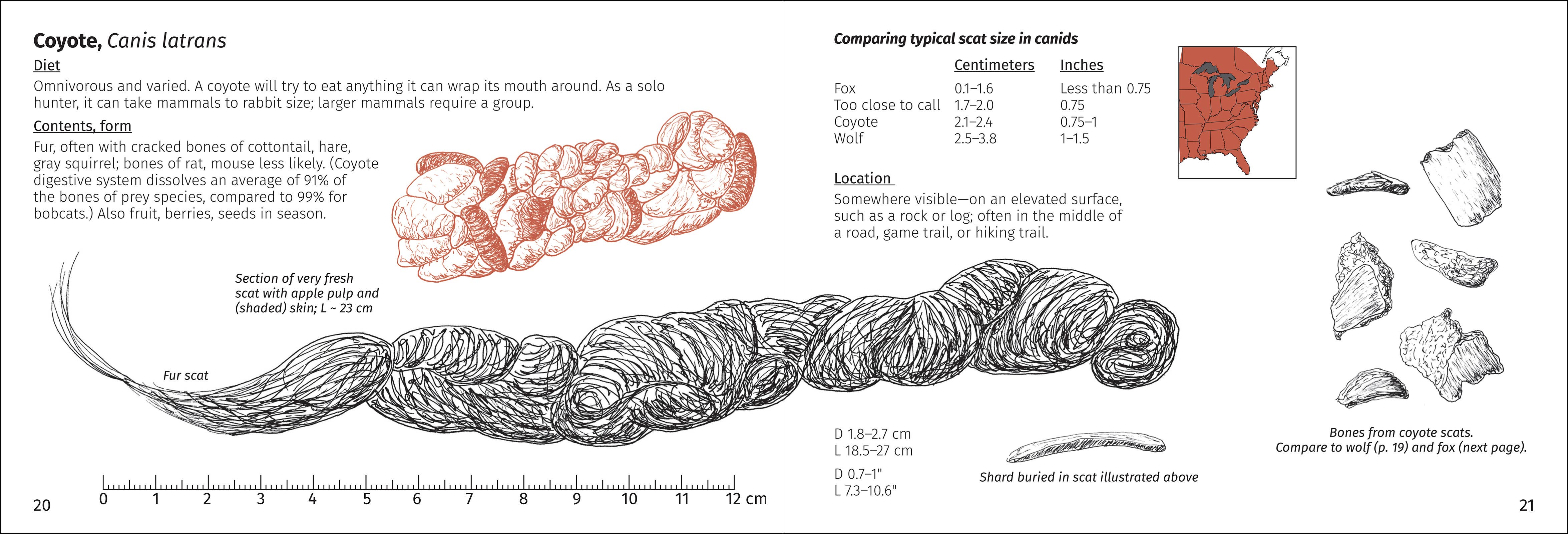 AdventureKEEN - Wholesale Nature & Outdoors - Scat Finder 2nd Edition5