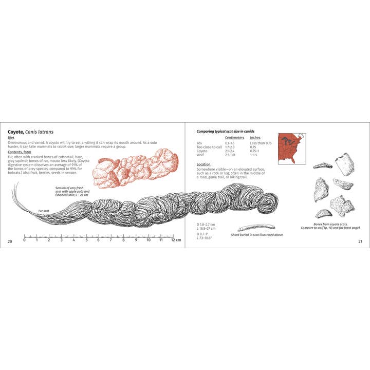 AdventureKEEN - Wholesale Nature & Outdoors - Scat Finder 2nd Edition5