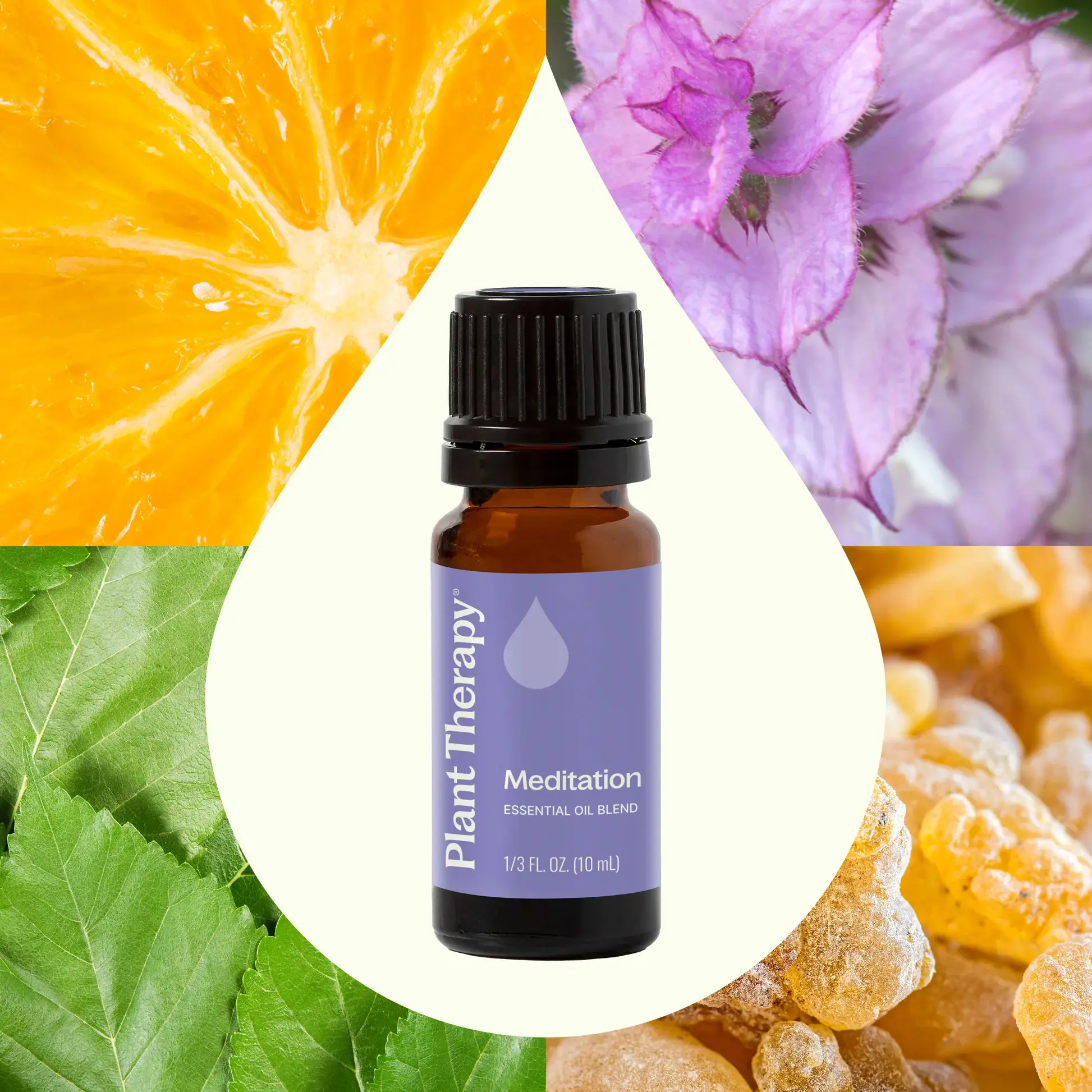 Plant Therapy - Wholesale Essential Oil - Meditation Essential Oil Blend 10 mL5