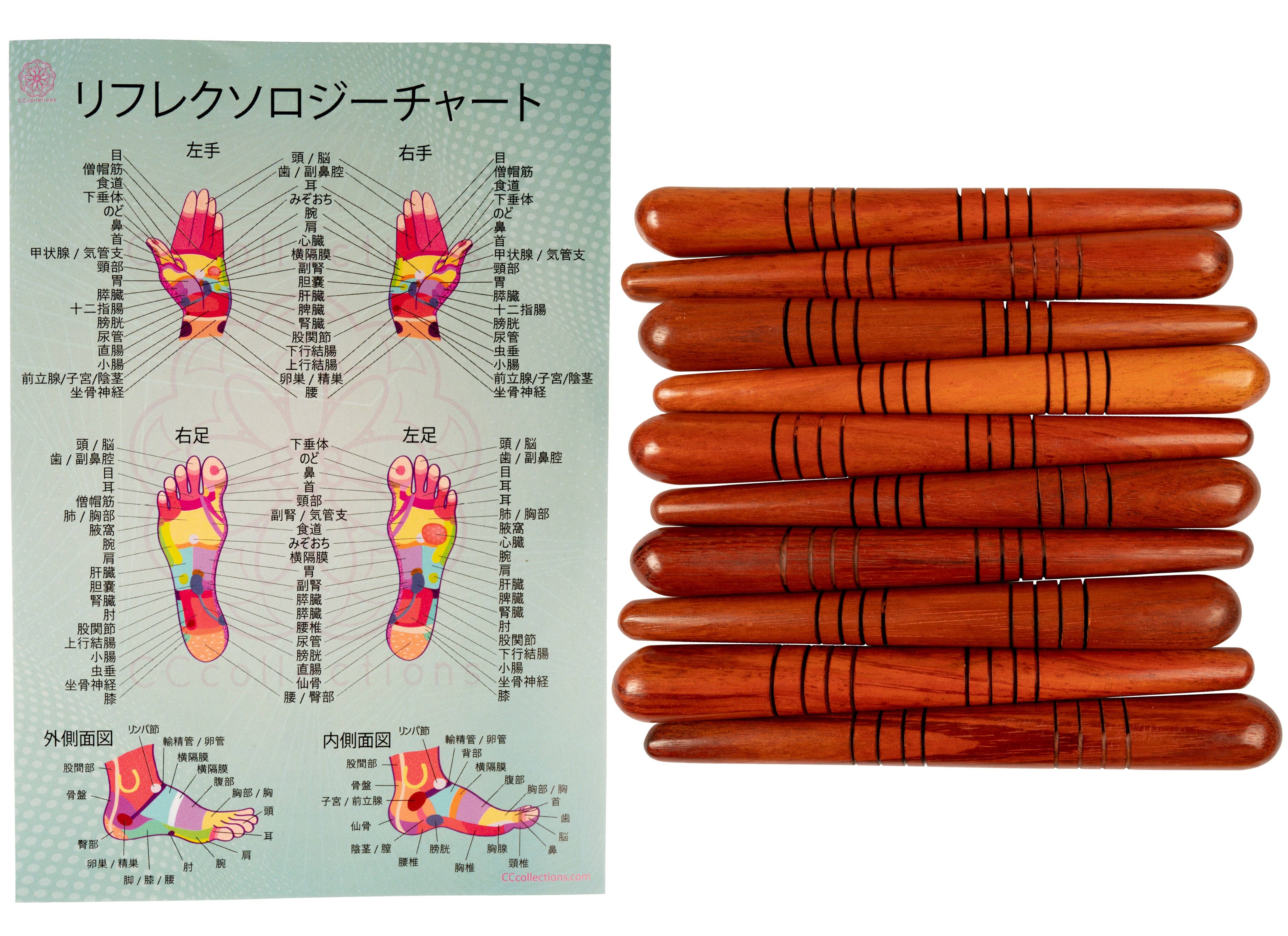 CCcollections – Großhandel Massagegeräte – Professionelles Set aus Holz-Massagewerkzeugen mit Reflexzonen-Diagramm4