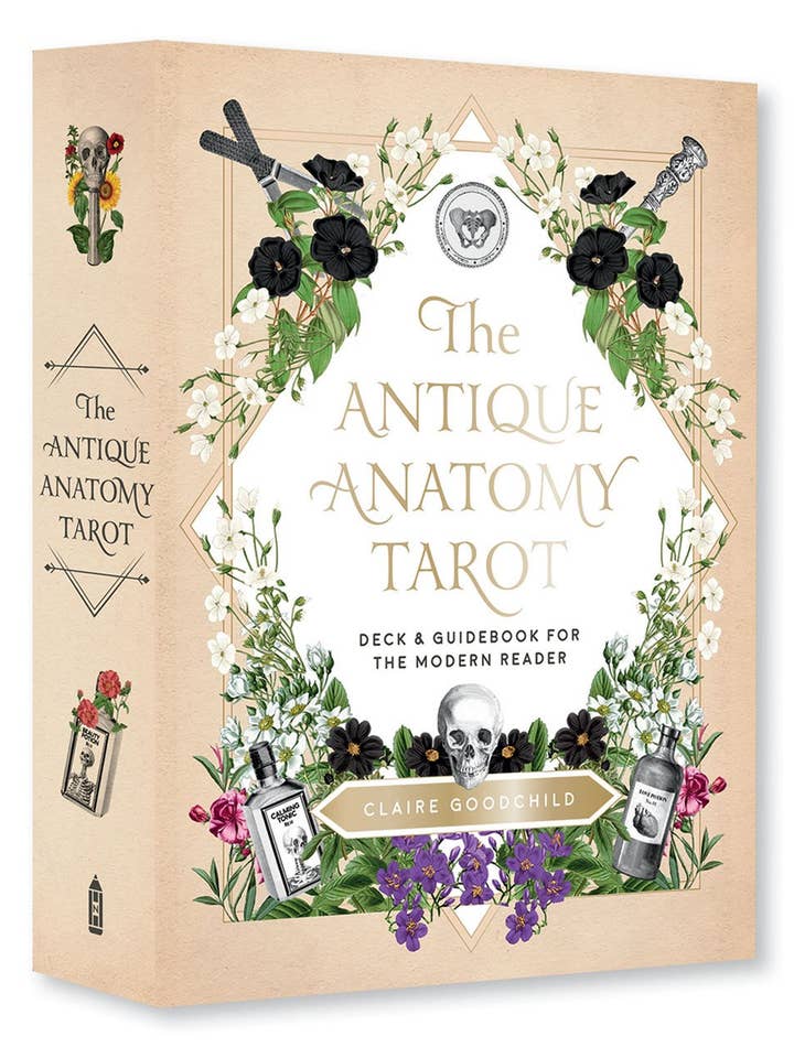 Kit de tarot d'anatomie antique pour la vente par Abrams