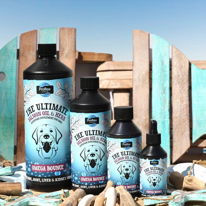 Proflax Omega Bounce for wholesale by Proflax Superfood Supplements