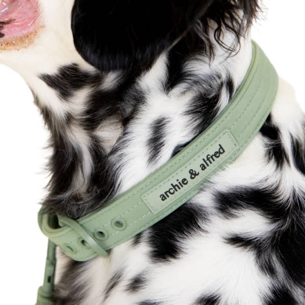 Everyday Dog Collar for wholesale by Archie & Alfred
