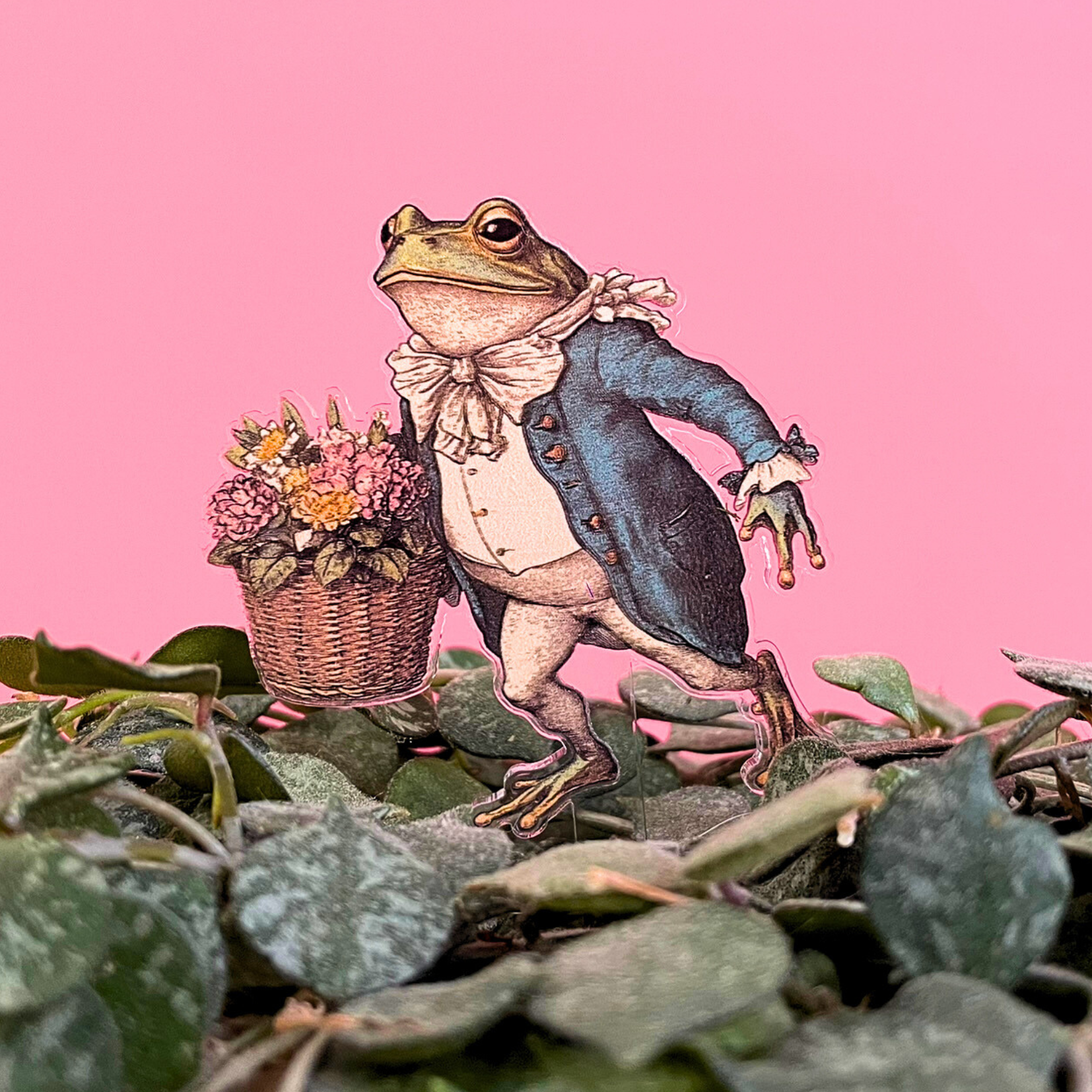 Button and Fern - Wholesale Garden/Lawn Stake - Vintage Frog Character Plant Stakes- Set of 5 Acrylic Stakes2