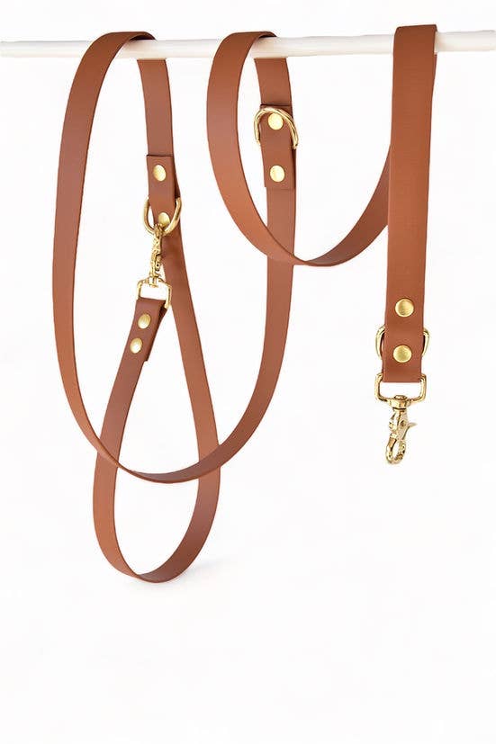 Pompon & Pets - Vendita all'ingrosso Guinzaglio - Cani - Lascia Camel Multi-Posizioni - Biothane