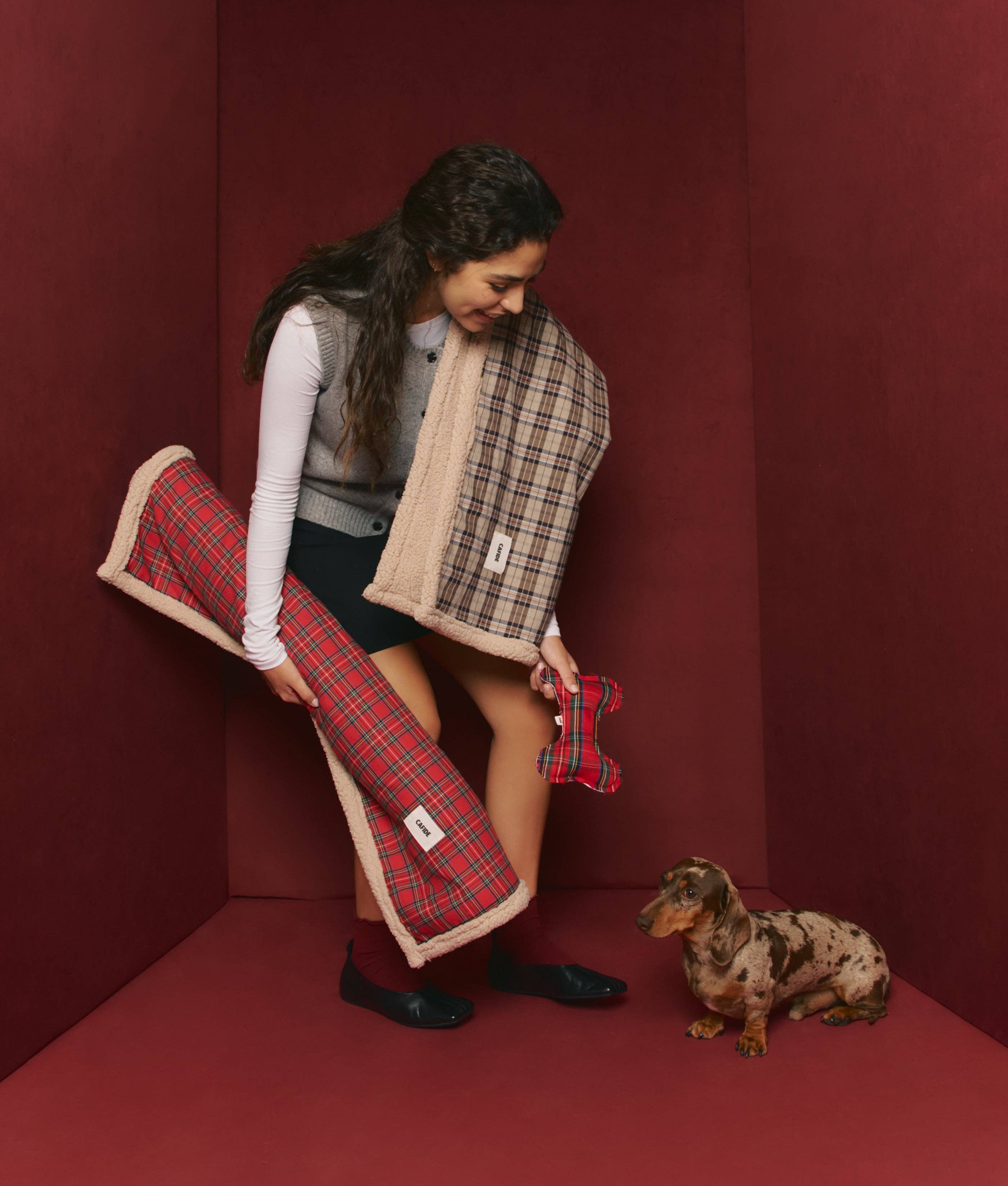 CAFIDE - Wholesale Pet Blanket - Dog - Red Royal Steward Dog Blanket, Toia2