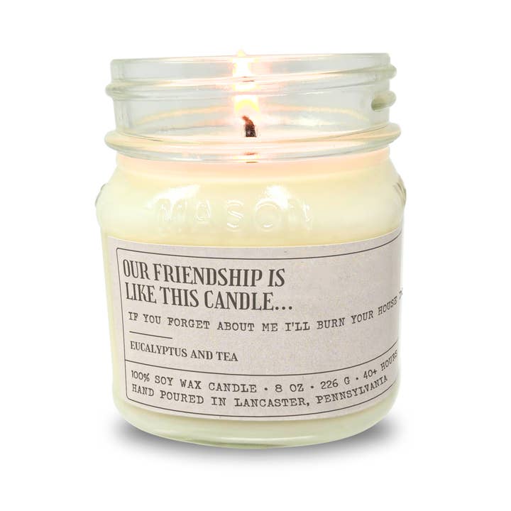 Sleazy Greetings - Wholesale Novelty candle - Our Friendship Is Like This Candle - Funny Candle 8oz Soy2