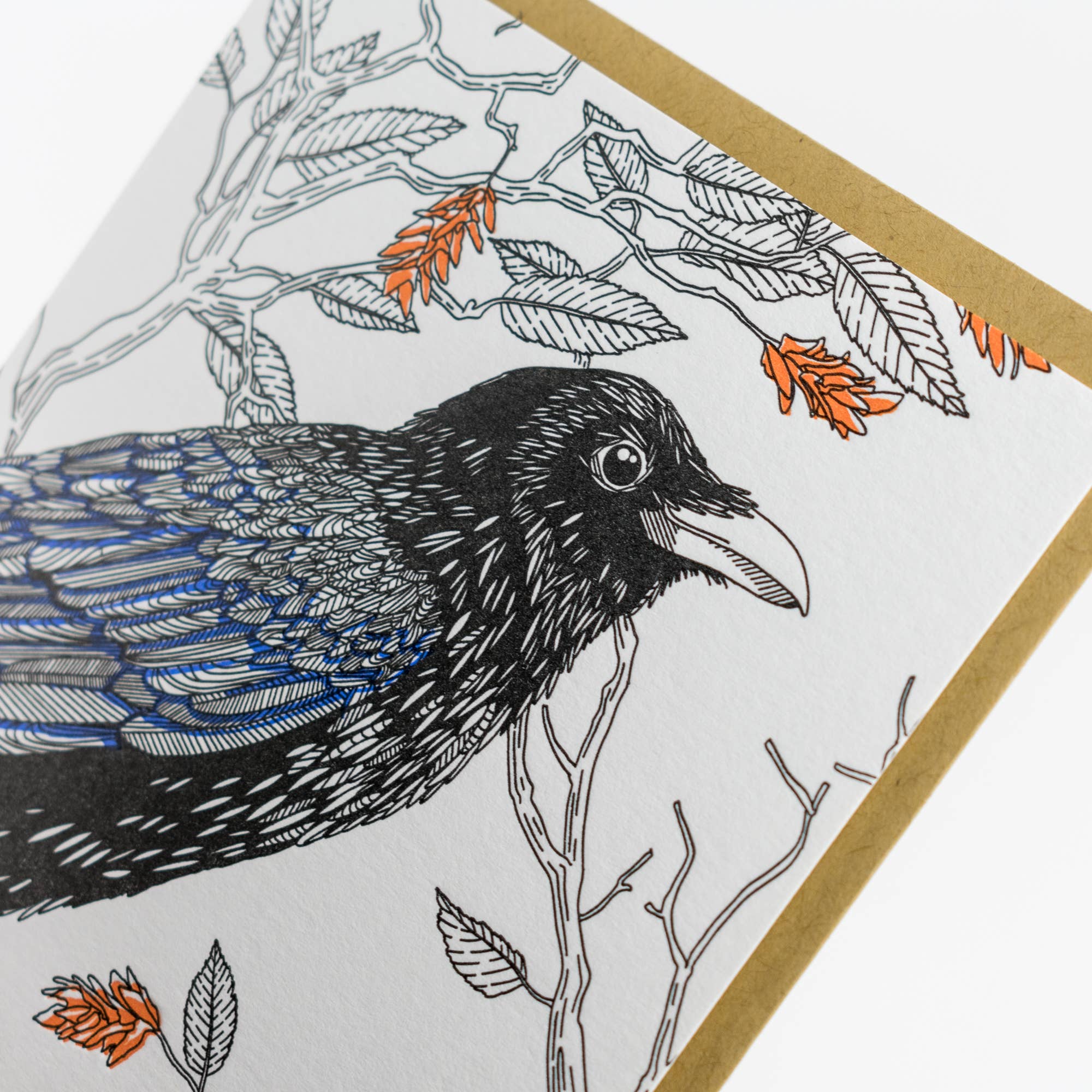 Porchlight Press Letterpress – wholesale Vardagliga hälsningskort – Common Raven Card - West Coast Birds3