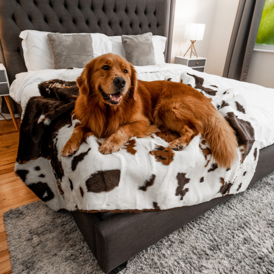 Paw Brands - Wholesale Pet Blanket - Dog - PupProtector™ Waterproof Throw Blanket - Brown Faux Cowhide10