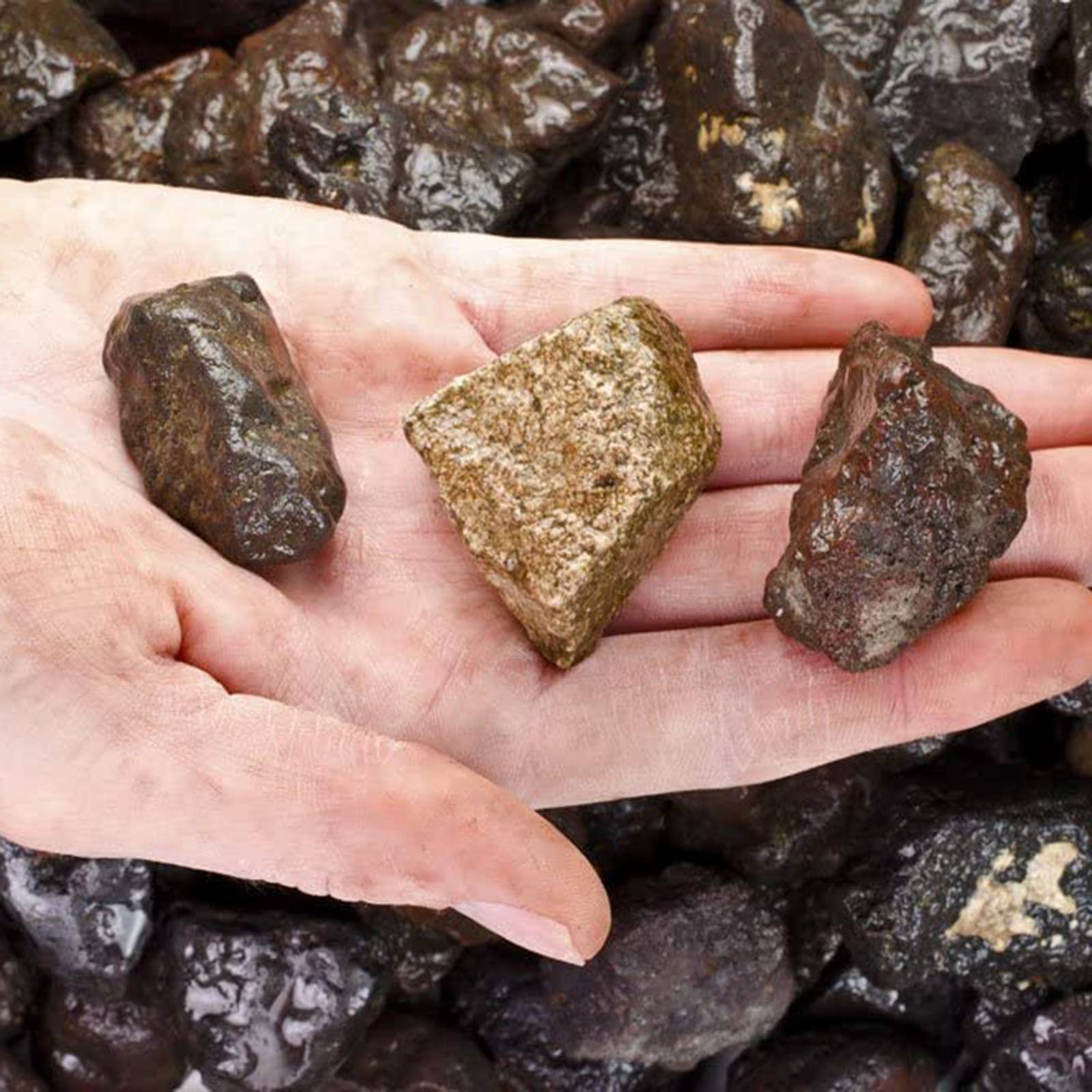 Fantasia Mining - Wholesale Spiritual Stone/Crystal - Rough Lodestone - USA - Raw Natural Stones (1 lb)1