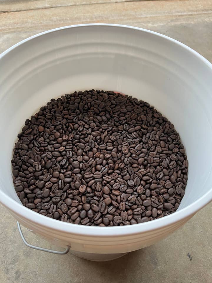 Bulk Coffee Beans 10 lb. Bucket for wholesale by Good News Coffee Co.