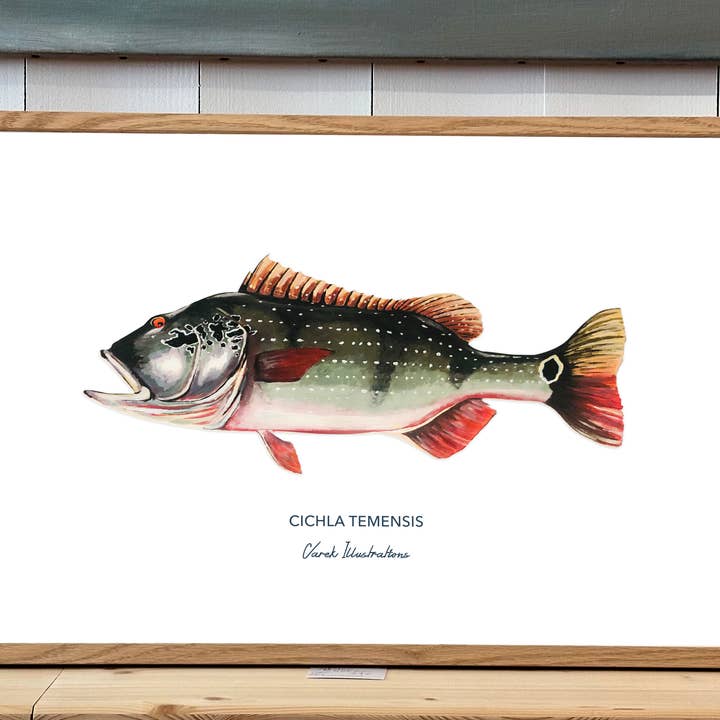 Poster met pauwbaars voor decoratie voor wholesale door Varek Illustrations