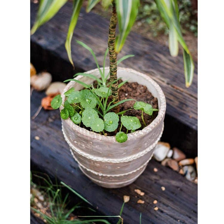 Rustic Reach - Vente Pot - Jardinière en terre cuite rouge Tasha3