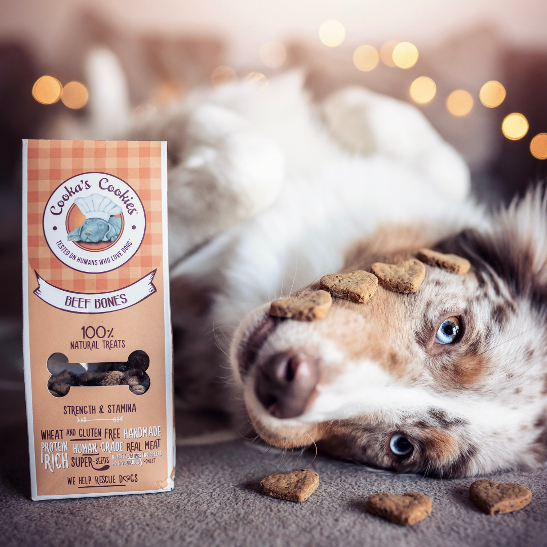 Belpharmed bv: Cooka's Cookies & Sensidog - Vendita all'ingrosso Snack - Cani - Beef Bones - Dolcetti naturali per cani3