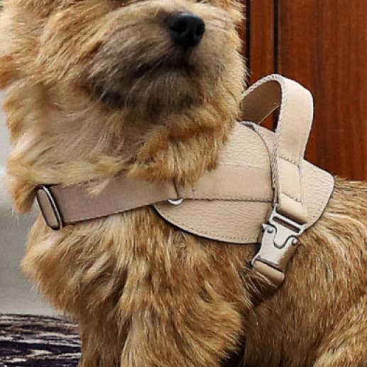 Saddle Harness - Beige for wholesale by Hozi