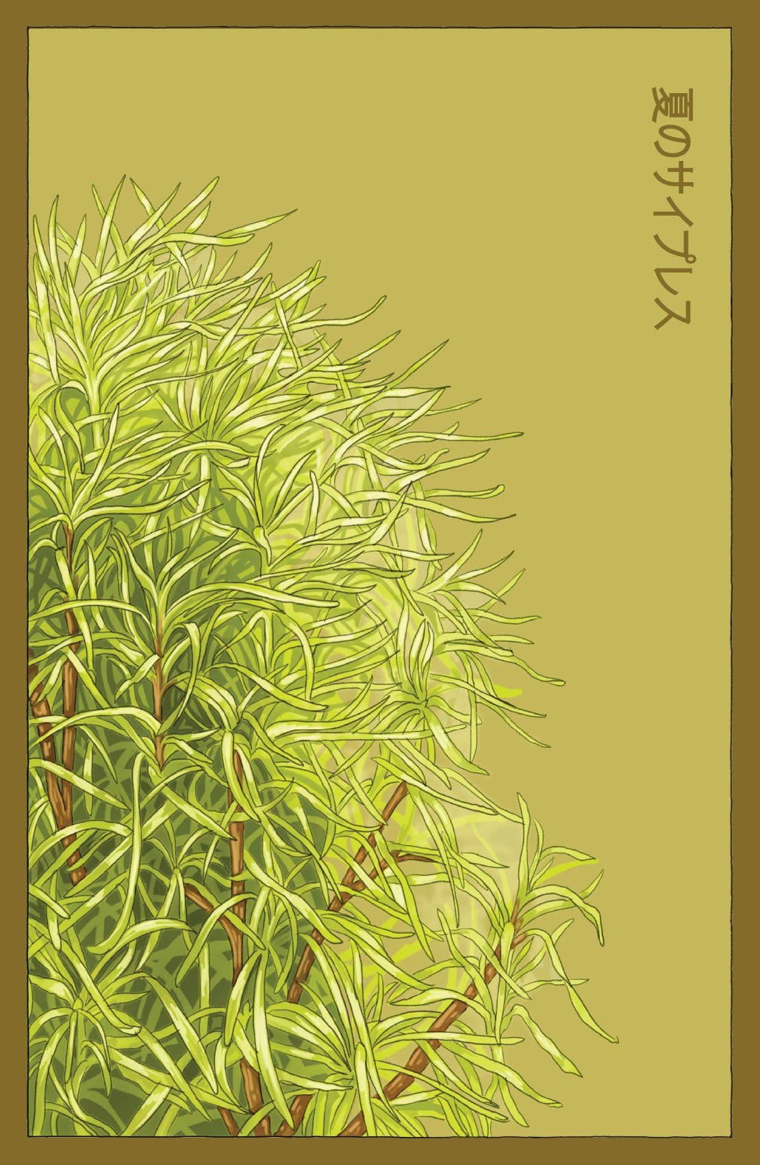 Chive UK – wholesale Plant seeds – Funky Seeds Packets - 48 Assorted14