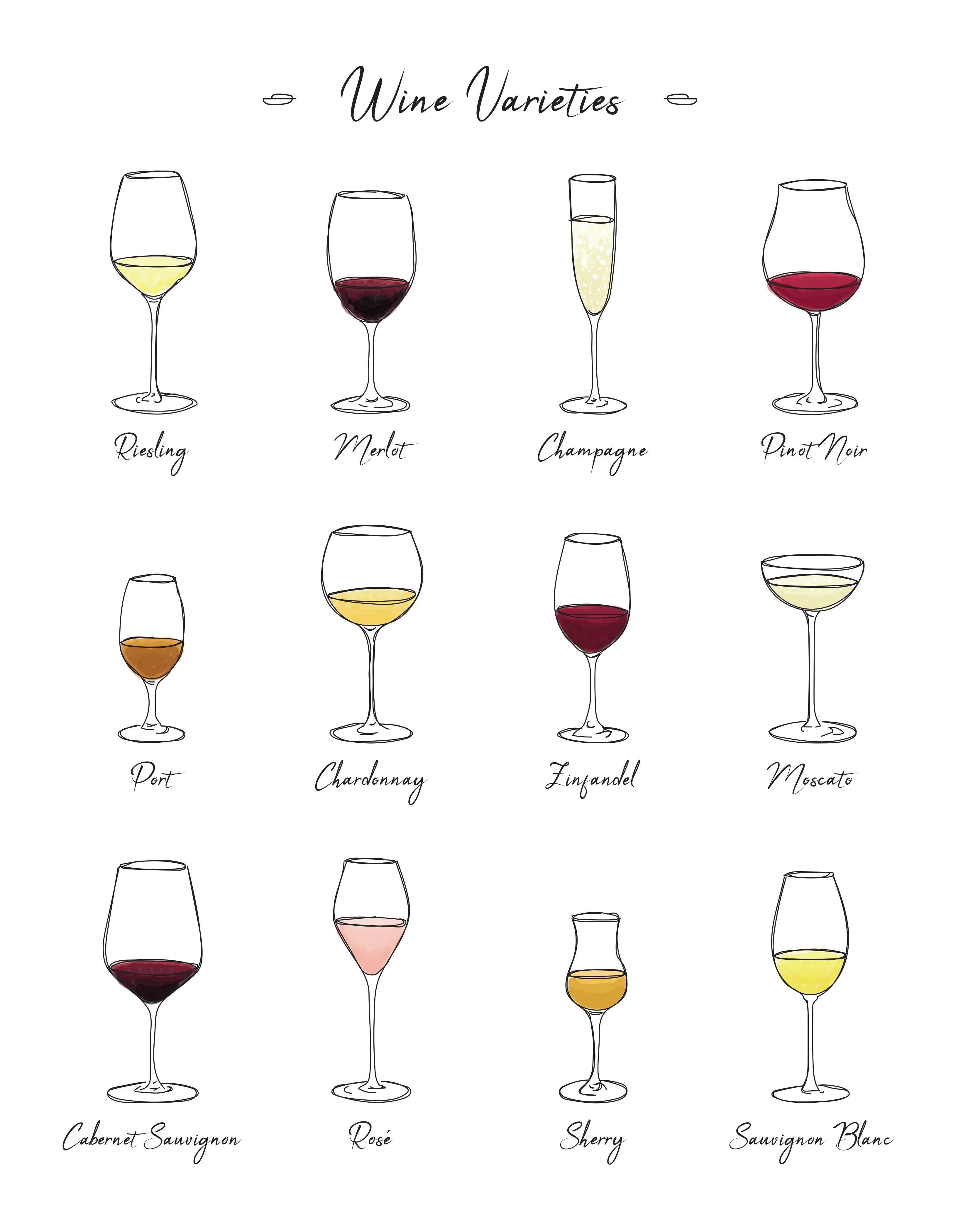 abigail hausman design & illustration - Wholesale Art Print - Wine Lover Print 11x141
