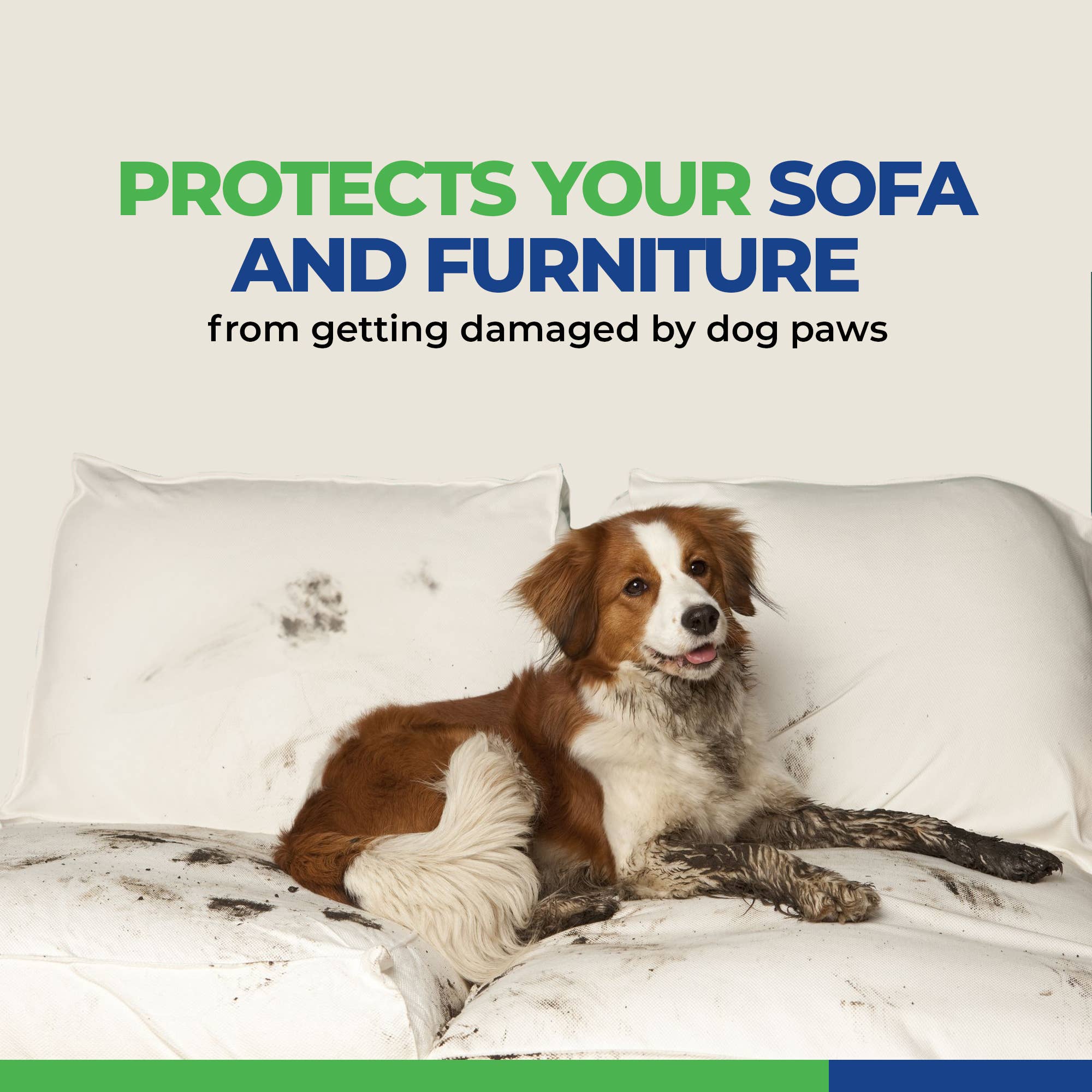 Healers PetCare – wholesale Pet paw protection – URBAN WALKERS III- TEAL9