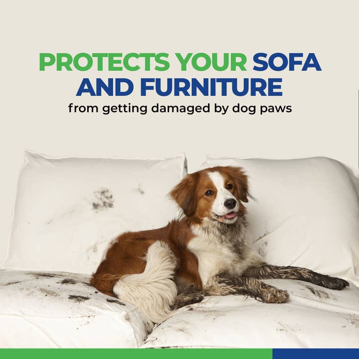 Healers PetCare – wholesale Pet paw protection – URBAN WALKERS III- TEAL9