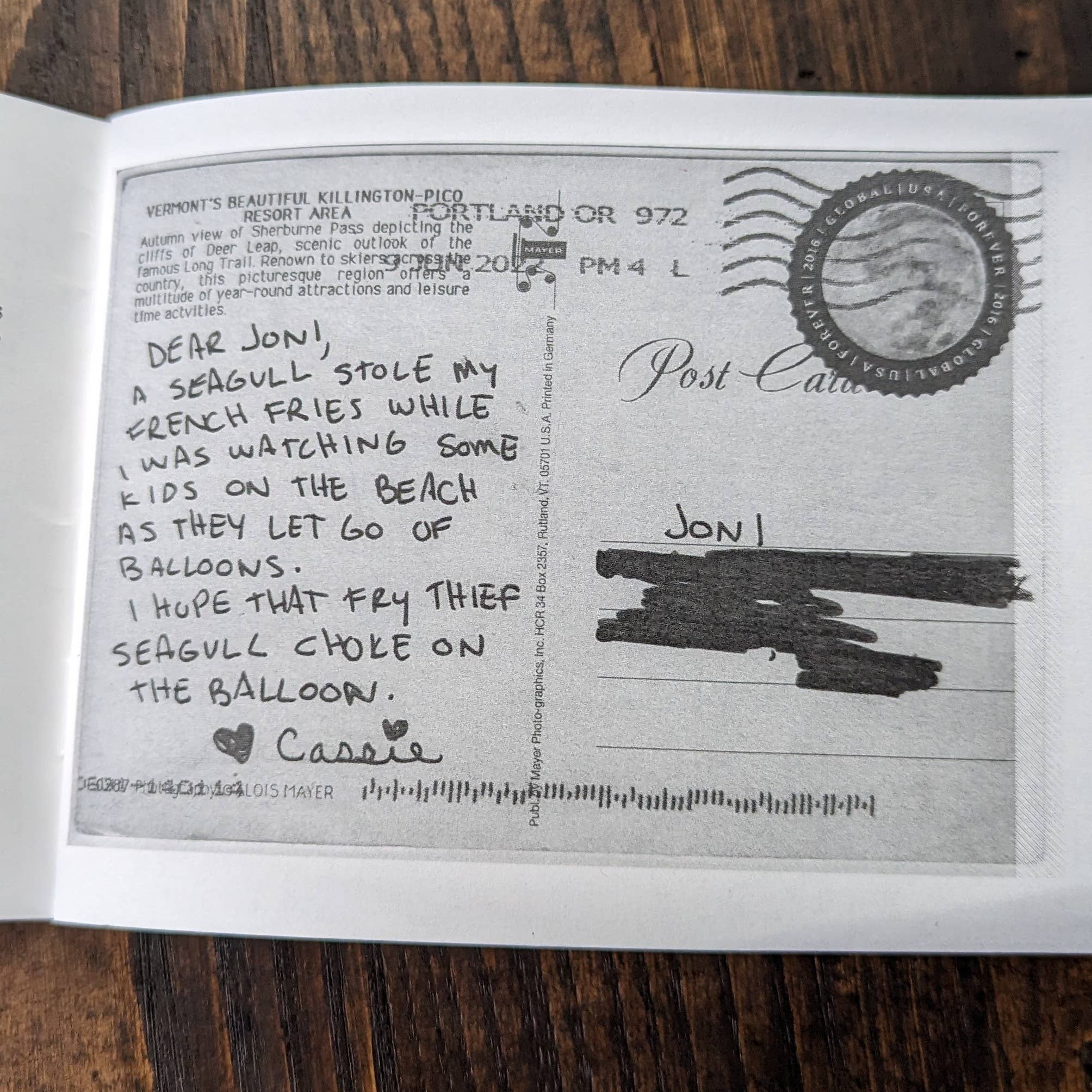 Portland Button Works - Wholesale Contemporary & Literary Fiction - Shouting at Seagulls Zine3