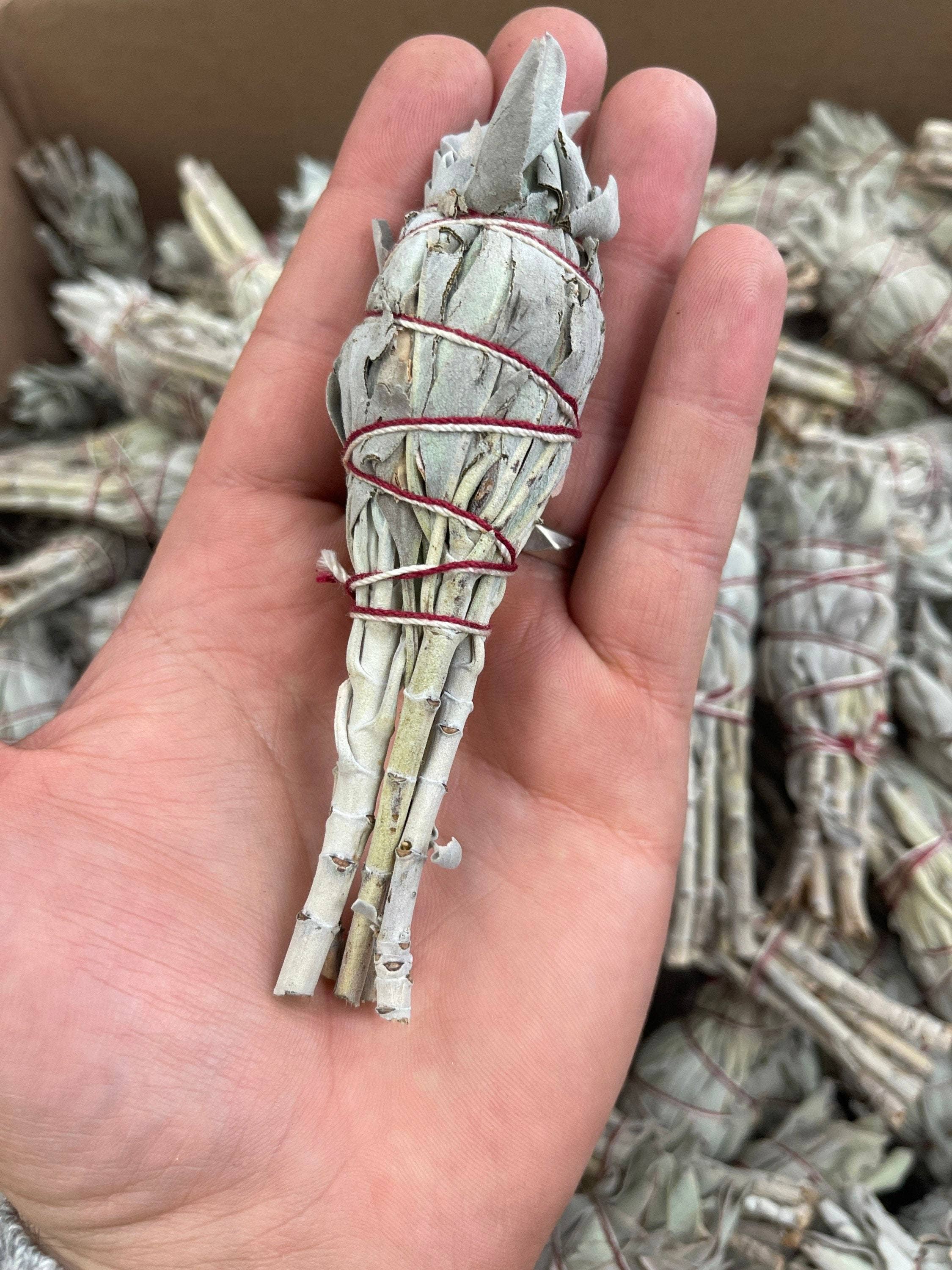 CaNatureLover – wholesale Salviabunt – ORGANISK ficklampa Sage Smudge pinnar,1.52