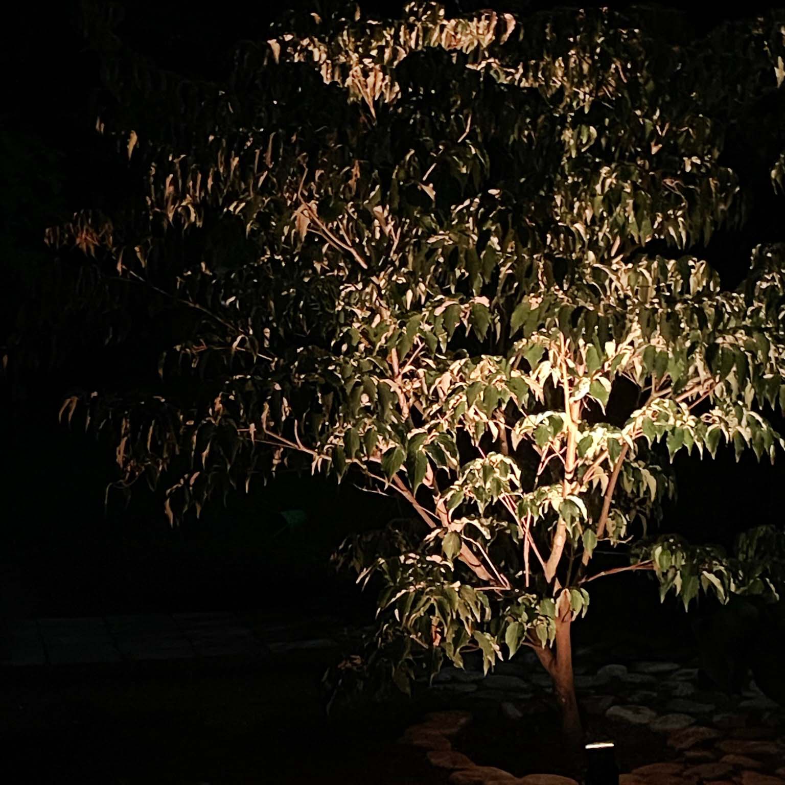 LightsOn - Vendita all'ingrosso Luce per esterni/da giardino - Nova LED dimmerabile per esterni con Bluetooth2