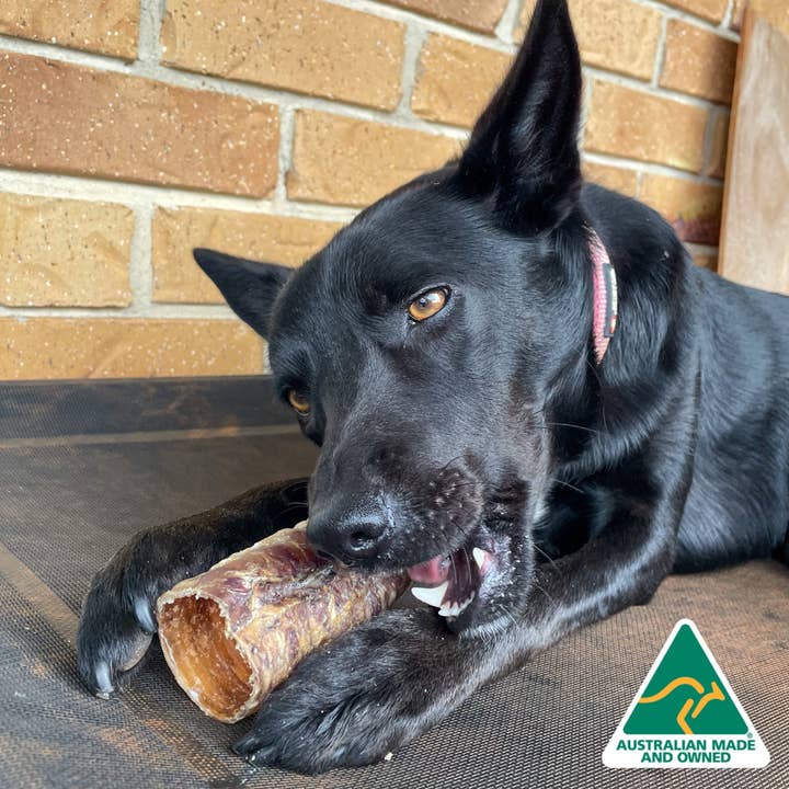 Rover Pet Products - Wholesale Pet treats – Dog - Deep Throat - Cow Trachea1