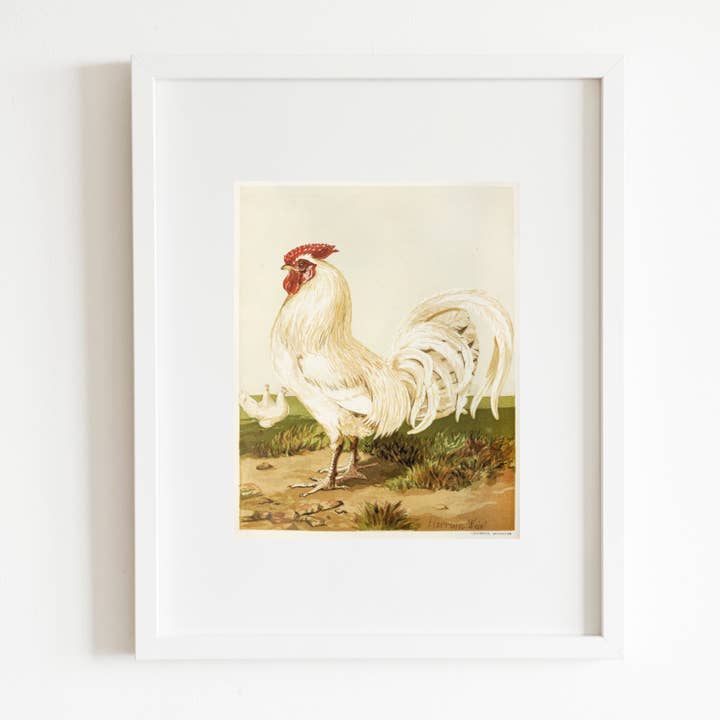 Sea to Skye - Wholesale Art Print - English White Dorking Art Print2