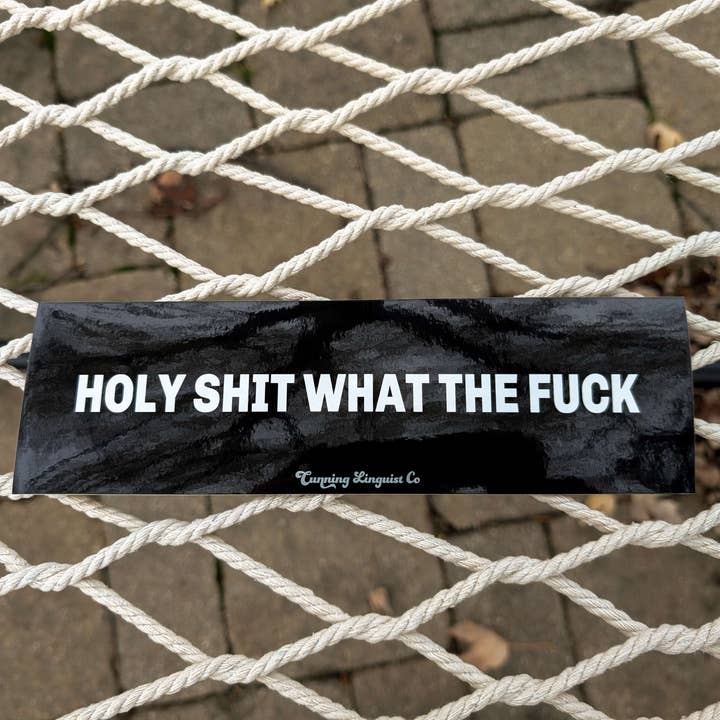 Cunning Linguist Co. - Wholesale Sticker - WTF bumper sticker1