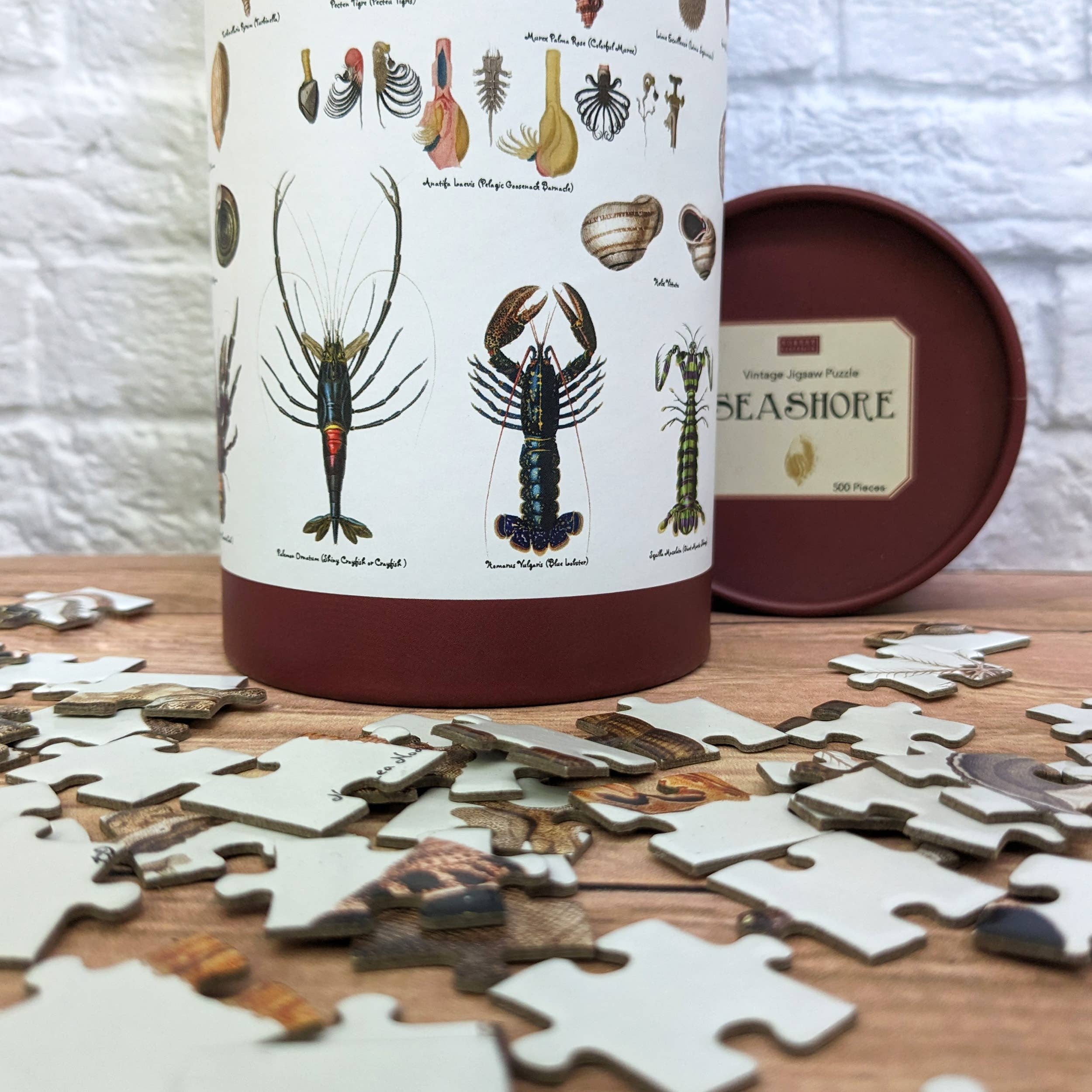 Robert Frederick Ltd – wholesale Puzzle – Child – 500 Piece Jigsaw in a Tube - Seashells4