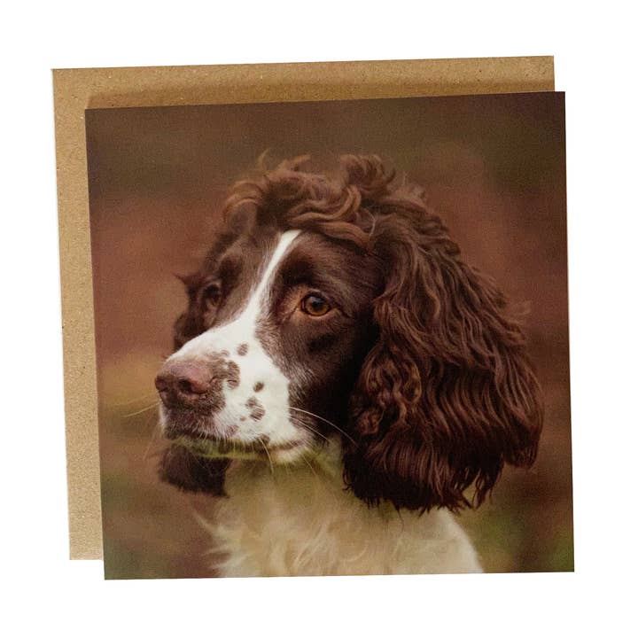 Carte de voeux Spaniel - Carte de voeux Chien - Carte d'épagneul pour la vente par Alex Sharp