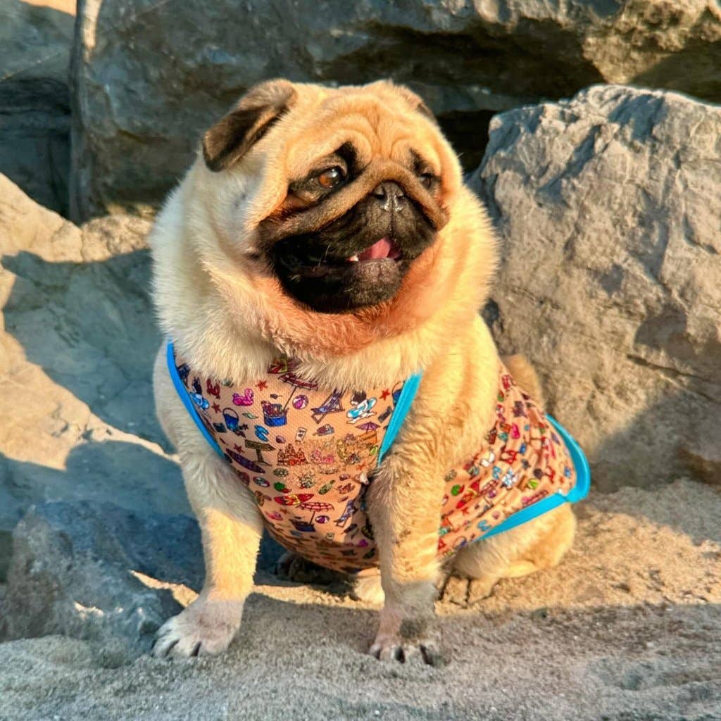 Mylo and Mas Boutique - Wholesale Pet Vest - Dog - Dog Cooling Vest - Sun of a Beach6