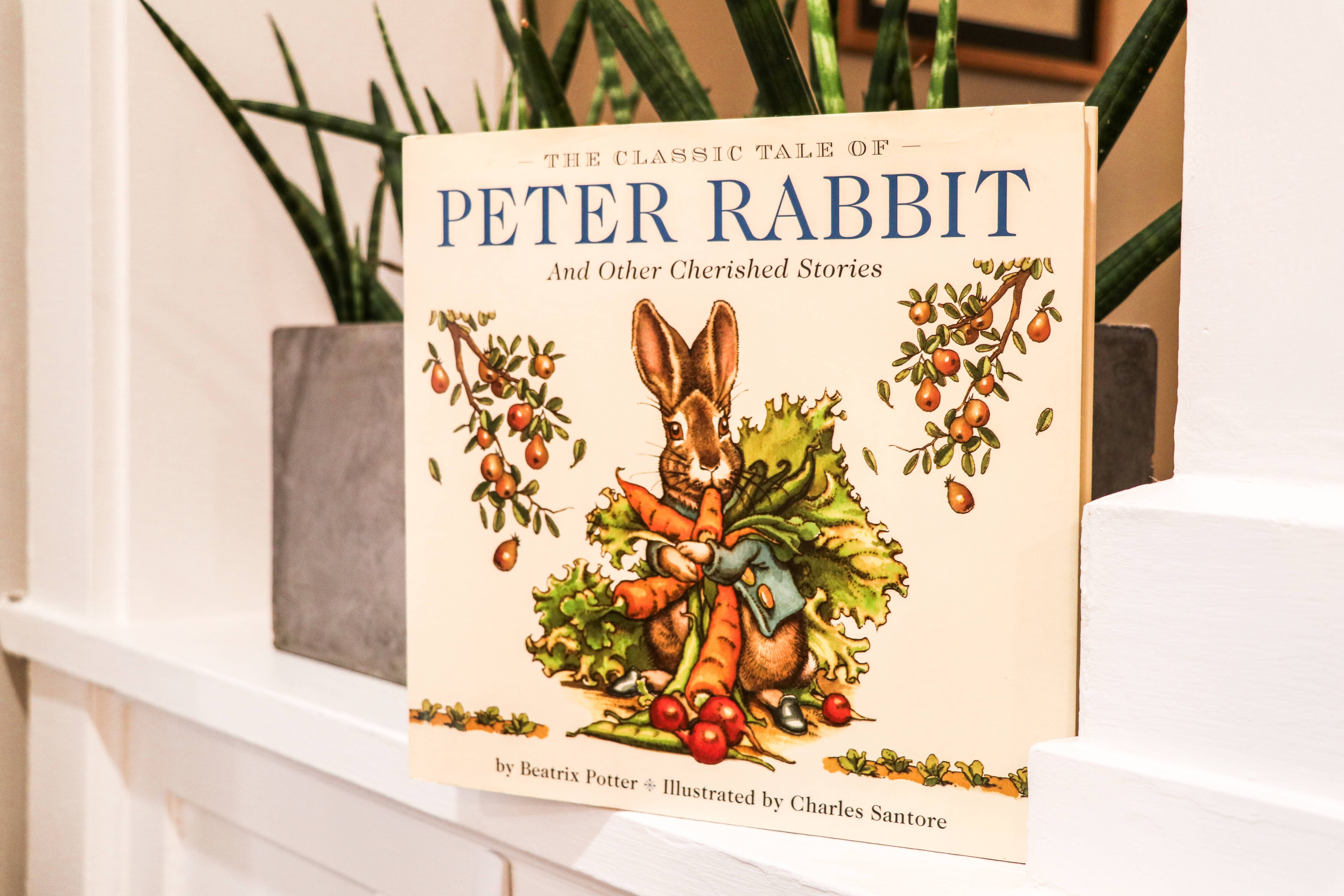 HarperCollins Focus - Wholesale Preschool Book (3-5) - The Classic Tale of Peter Rabbit Hardcover: The Classic Ed8