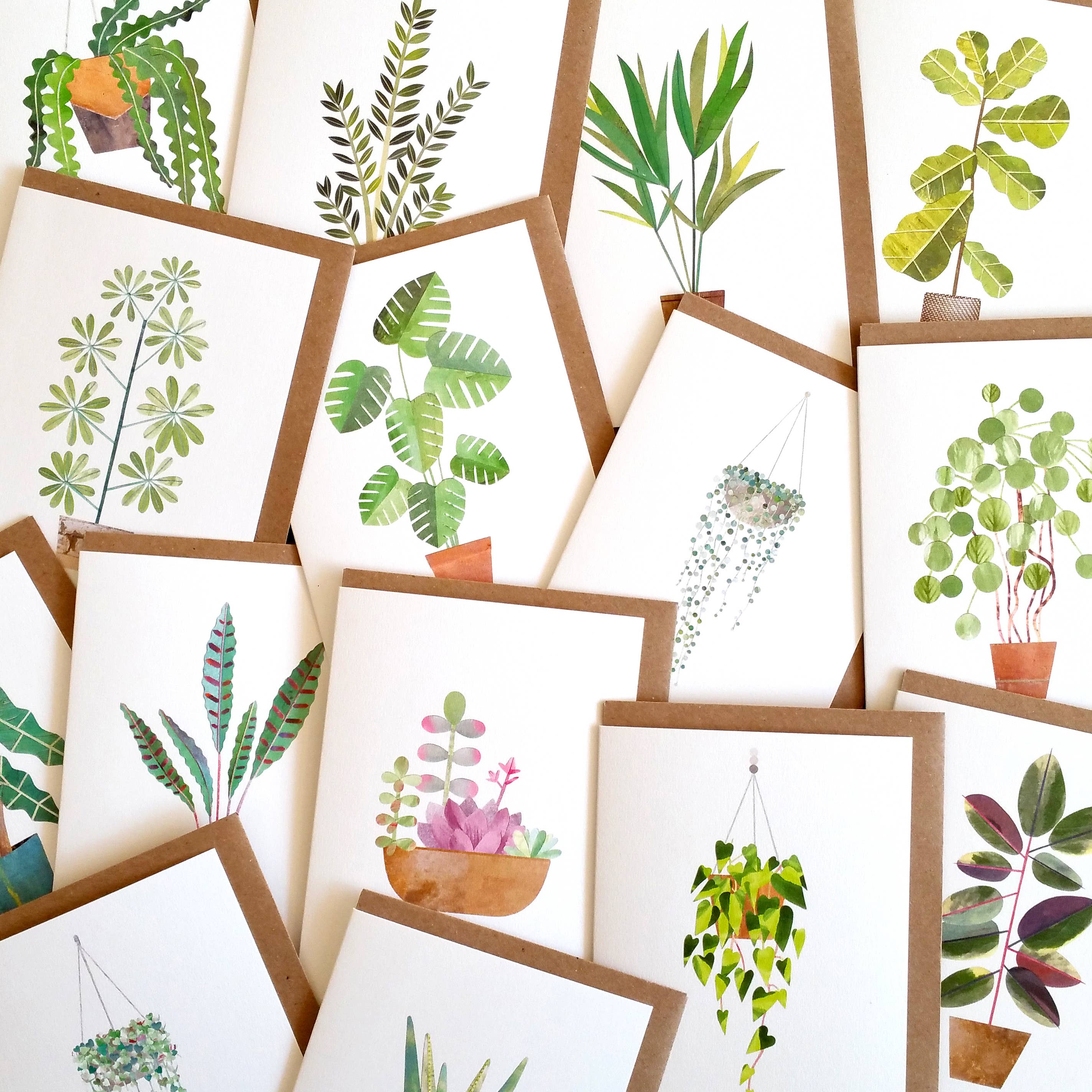 Paperwhale Cards & Paper Goods - Wholesale Everyday Greeting Card - Bromeliads Card3
