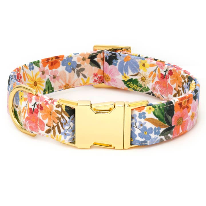 The Foggy Dog - Wholesale Pet Collar - Dog - Rifle Paper Co. x TFD Marguerite Dog Collar