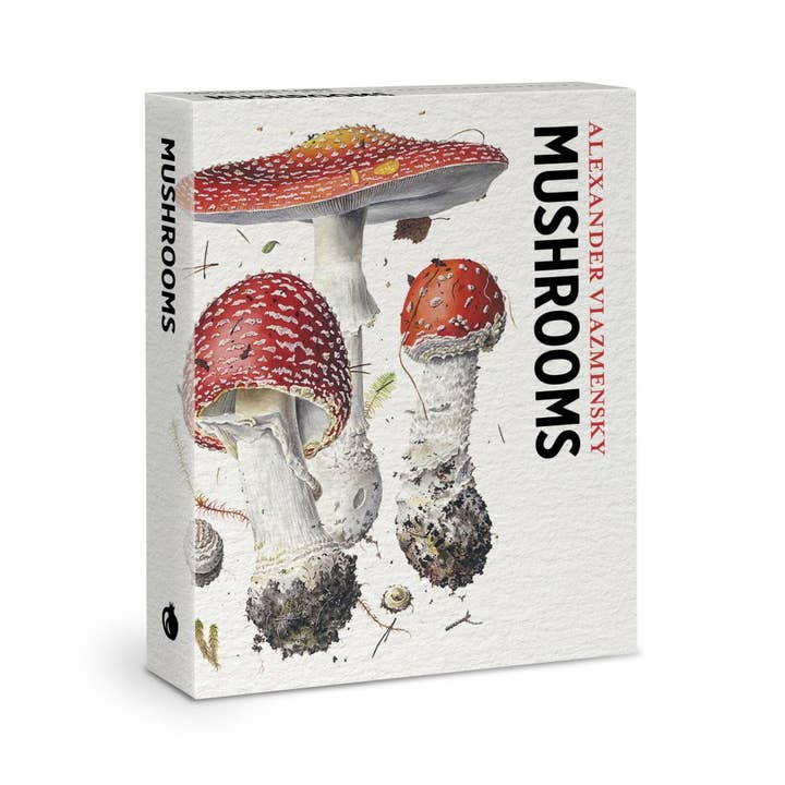 Knowledge Cards-Mushrooms for wholesale by Vevoke