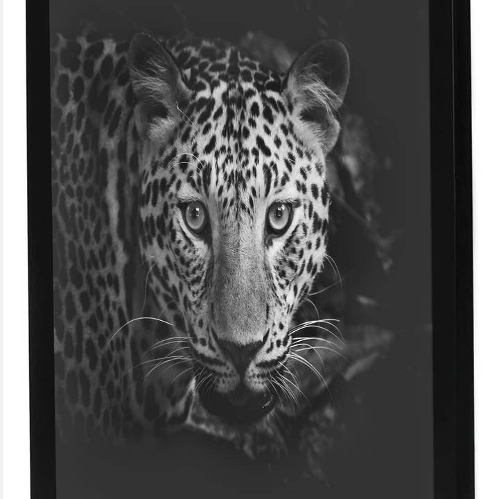 Americanflat - Wholesale Picture Frame - Americanflat Poster Frame with Wide Molding135