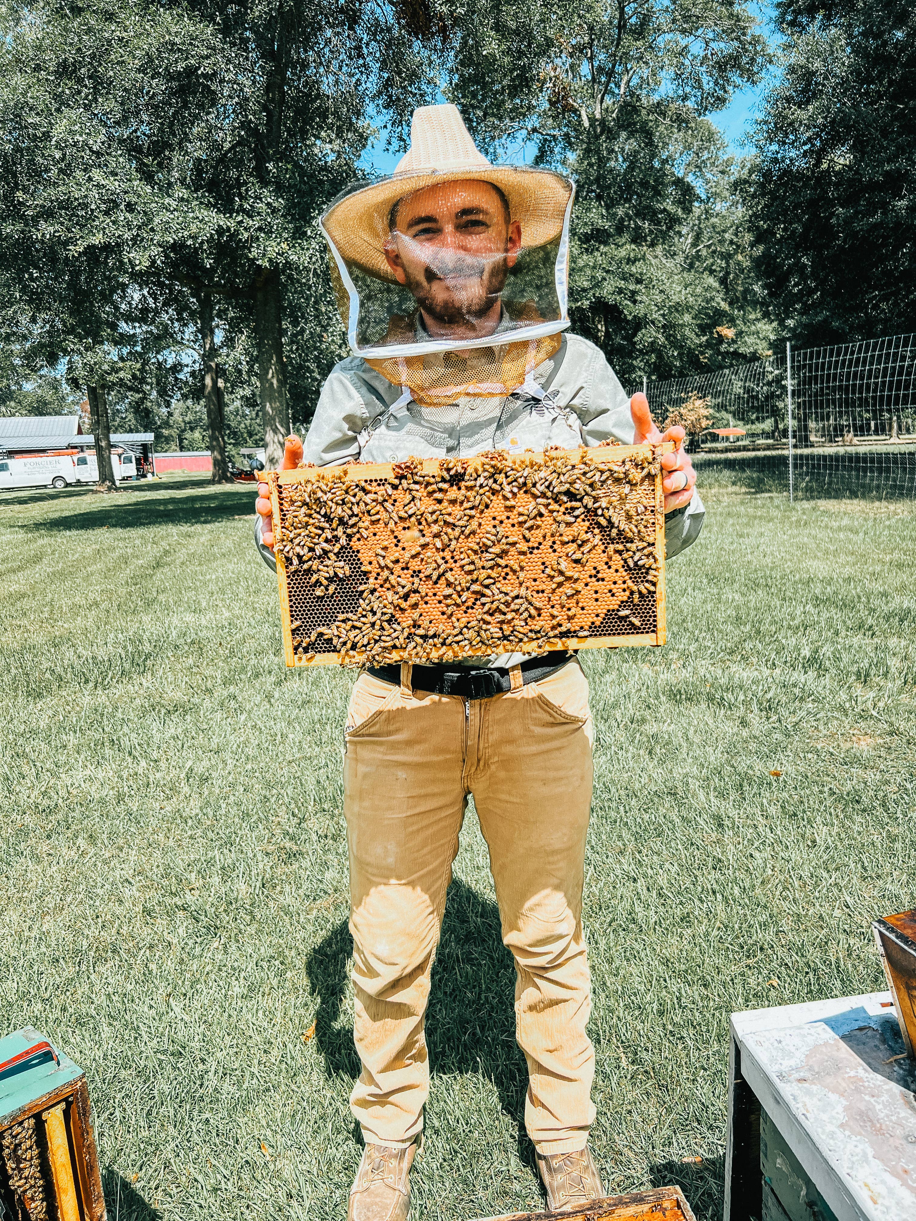 Moore Honey - Wholesale Honey - Texas Wildflower Honey 16oz2