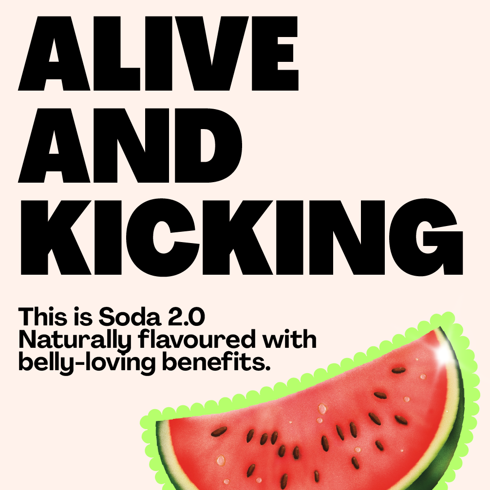 Living Things - Vente Sodas/boissons gazeuses - Soda Prébiotique Citron & Gingembre - Living Things5