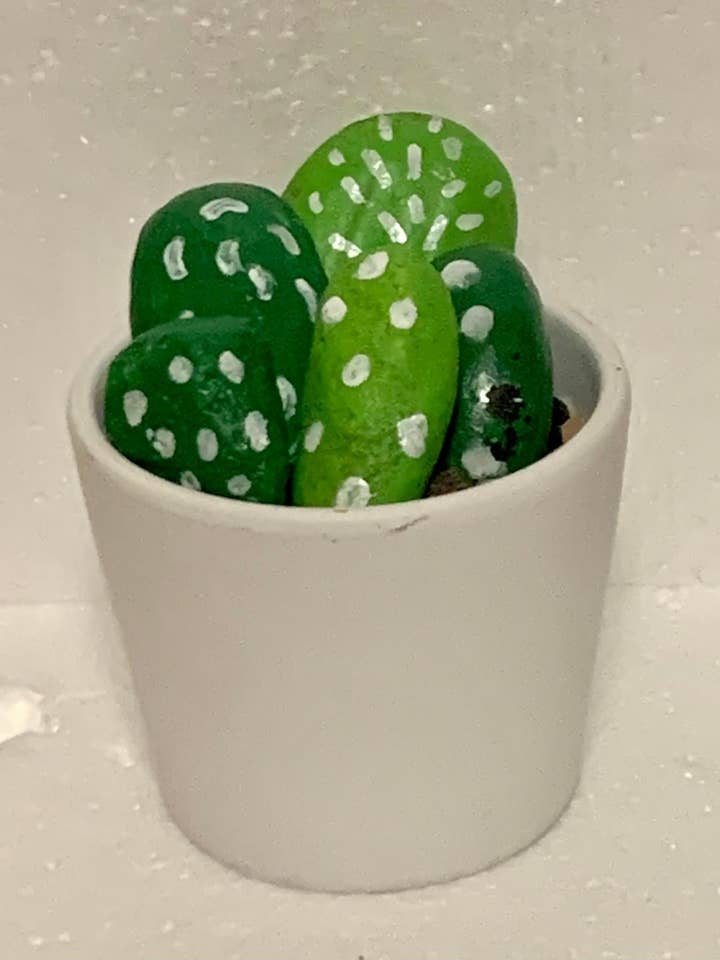 Jardin des cactus pour la vente par Cairns & Creations by ECW