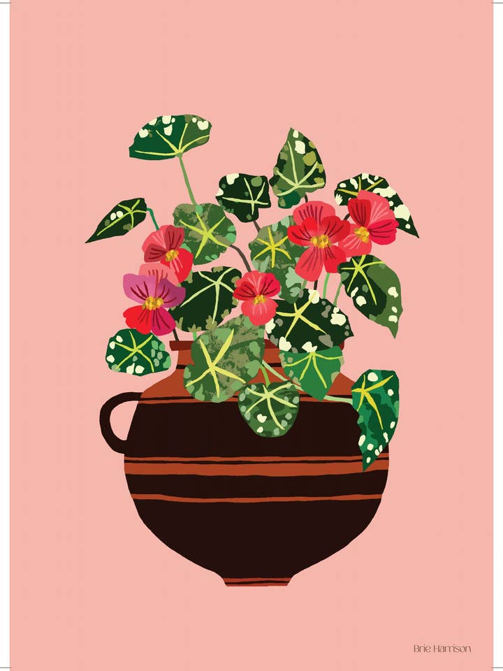 Begonia Print A4 for wholesale by Brie Harrison Ltd