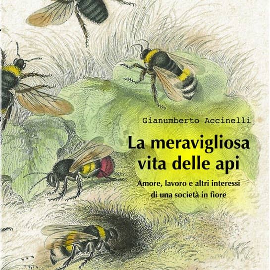 The Wonderful Life of Bees (Book) for wholesale by EUGEA
