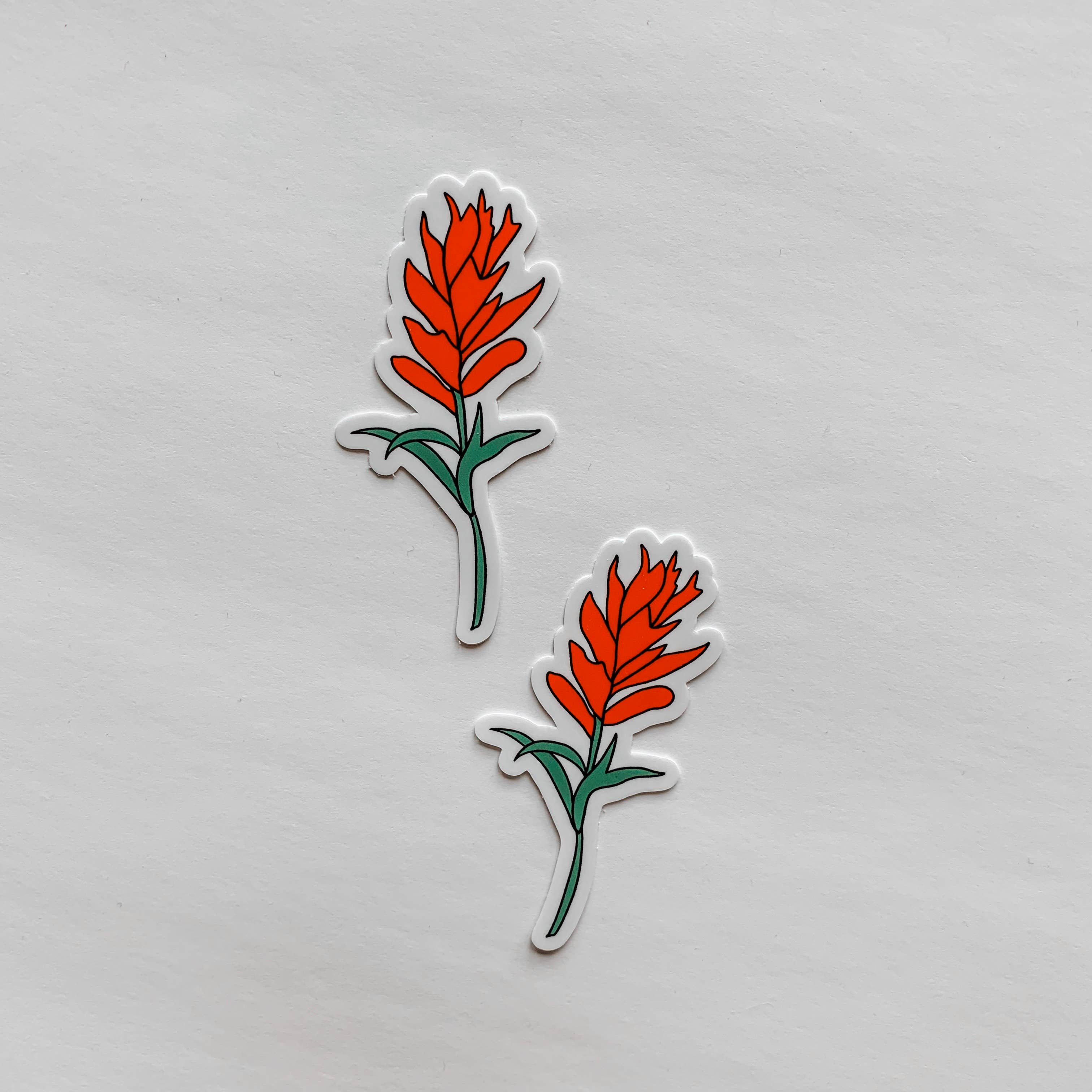 Wildflower Paper Company - Wholesale Sticker - Indian Paintbrush Flower Wildflower Sticker4