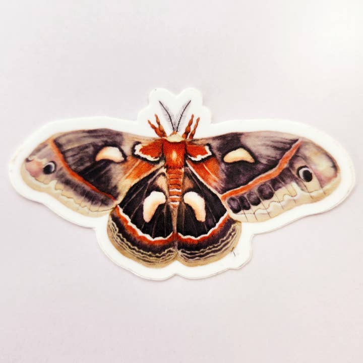 Redbriar Studio - Wholesale Sticker - Stickers3