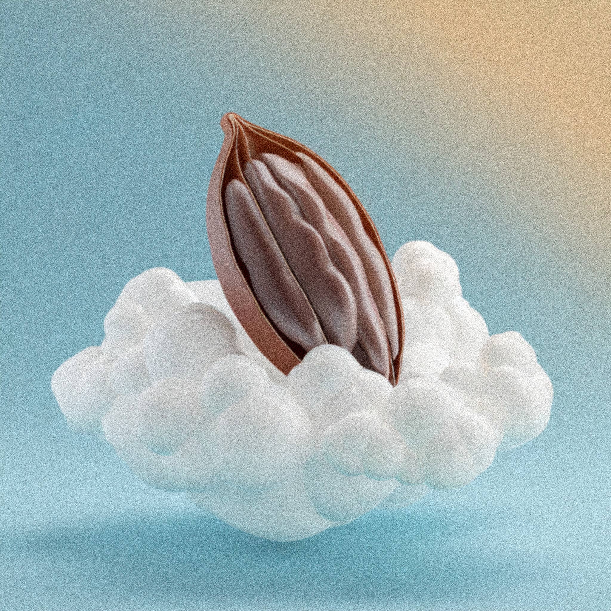 DreamTech® – wholesale Powdered health drink – MoonBrew™ Adaptogenic Sleep Cacao | Reishi & Ashwagandha 12