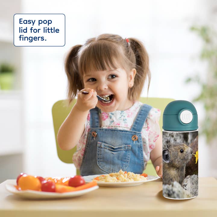 3dRose - Wholesale Water bottle - 3dRose, Washington, North Cascades NP, Pika wildlife - US48 BJA0235 - Jaynes Gallery, Kids Water Bottle7