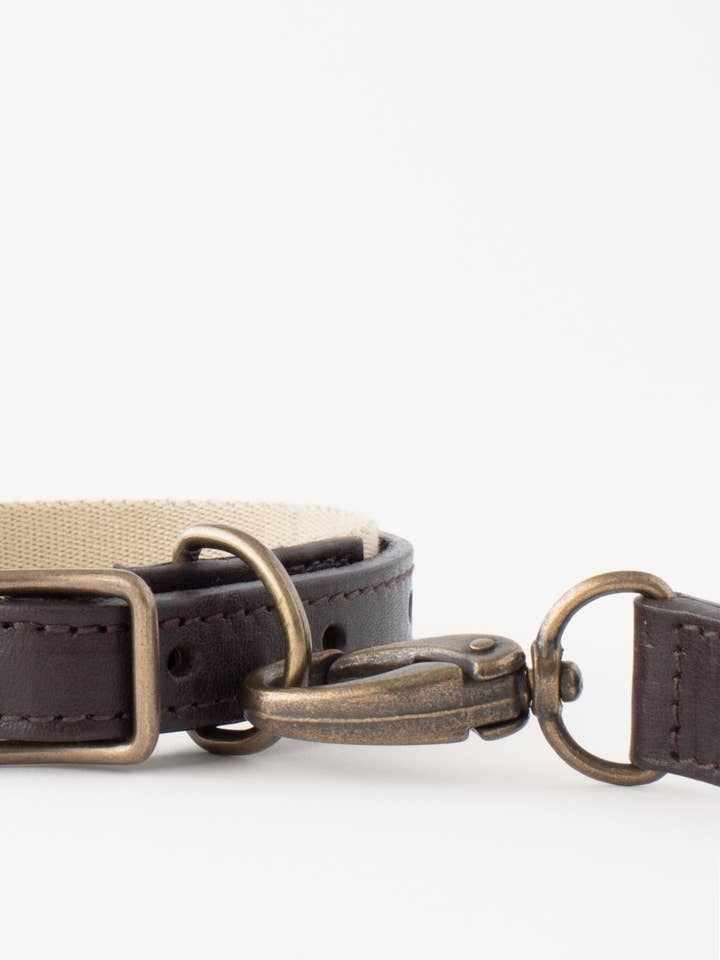 Hundehalsbånd og snor for engroshandel hos Oliver's Life & Style