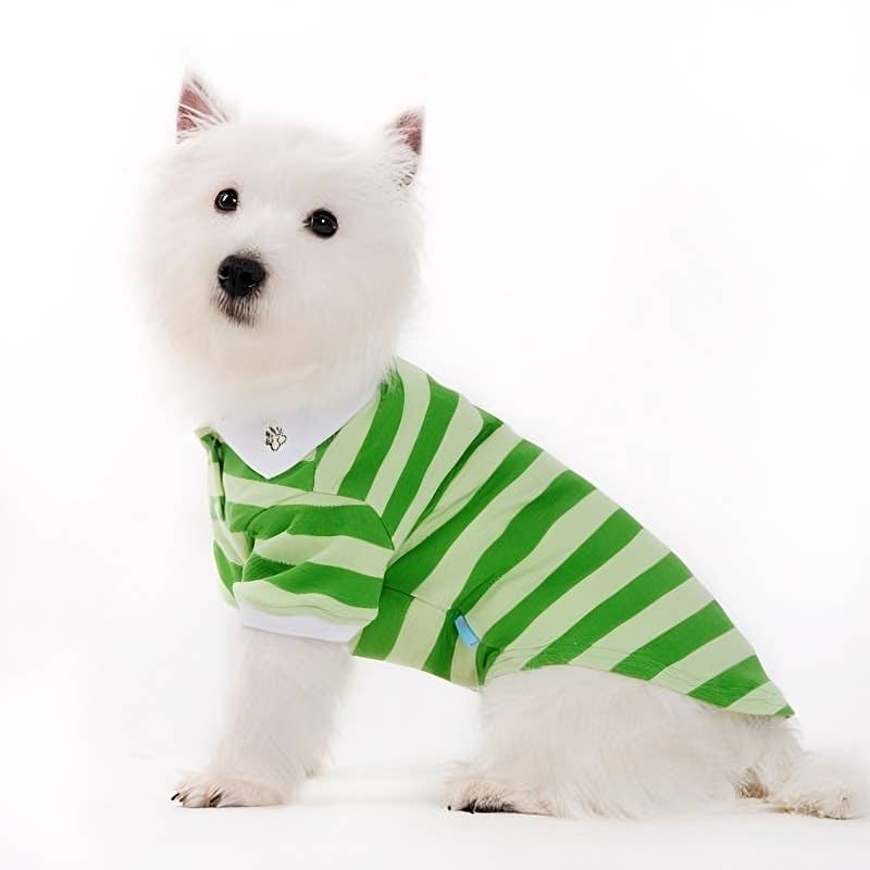 Dogo Pet - Wholesale Pet Shirt - Dog - PP Stripe Polo Shirt21